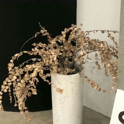 兽设动态姿势参考福瑞群